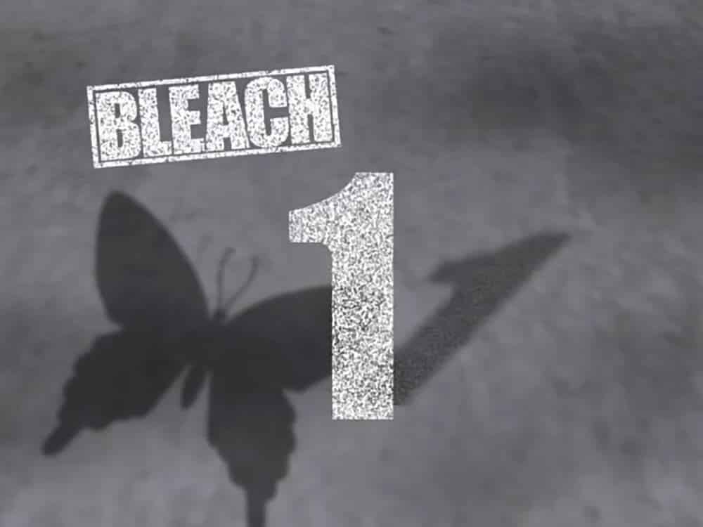 Title Card for Bleach Episode 1